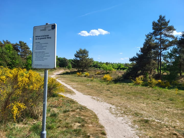 Photo 38 of Zuidhornstraat 7