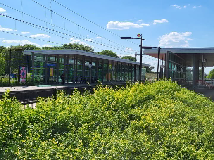 Photo 42 of Zuidhornstraat 7