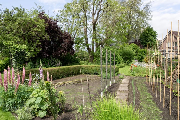 Foto 86 van IJsseldijk-West 35