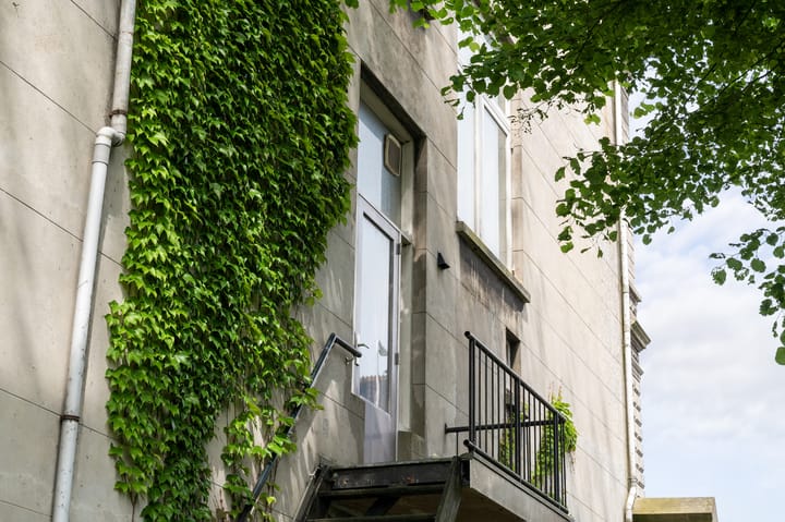 Foto 96 van IJsseldijk-West 35