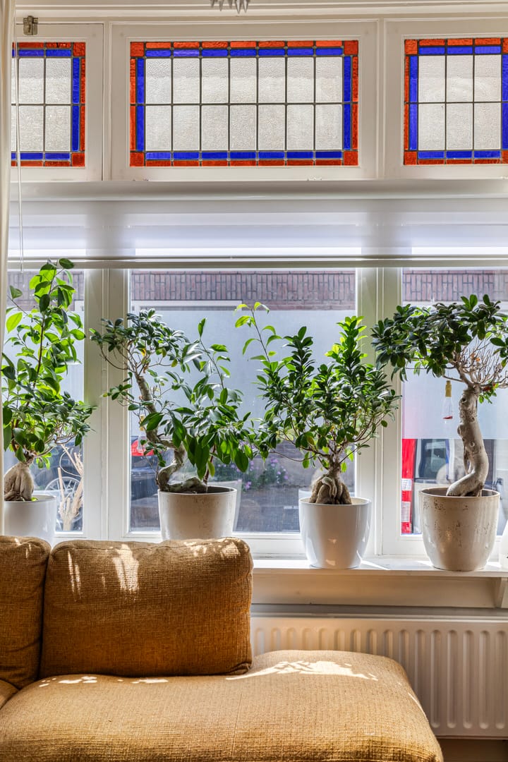 Foto 13 van Spiraeastraat 16