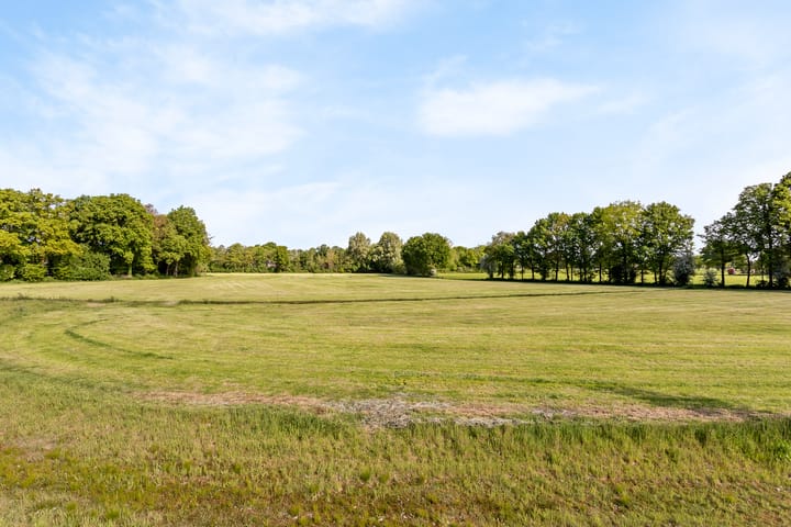 Foto 19 van Hesselman 2