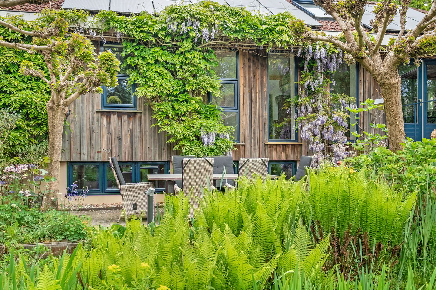 Foto 5 van Oosterwijk WZ 38