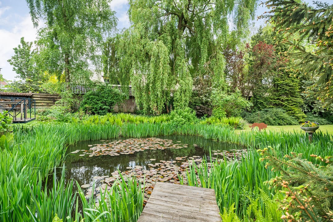 Foto 58 van Oosterwijk WZ 38