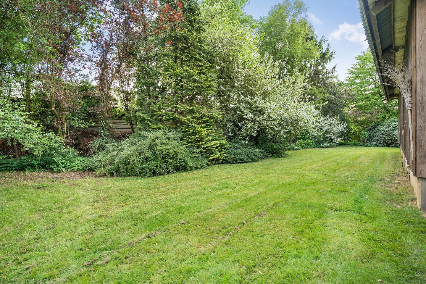 Foto 70 van Oosterwijk WZ 38