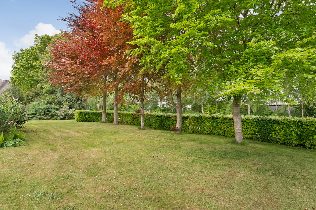 Foto 77 van Oosterwijk WZ 38