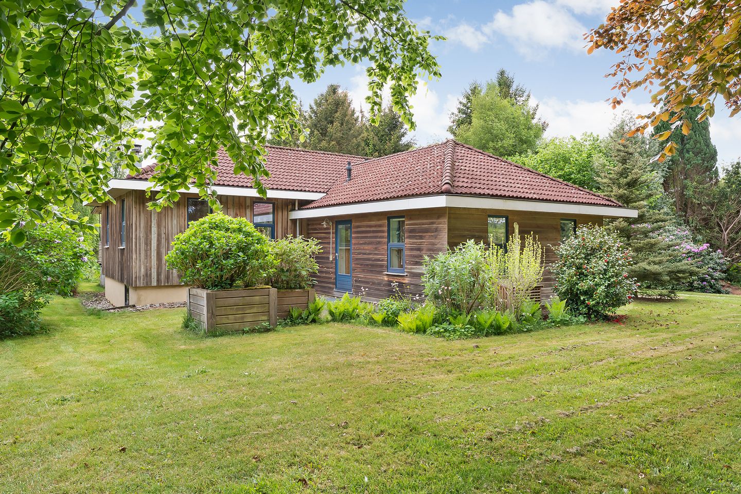 Foto 80 van Oosterwijk WZ 38