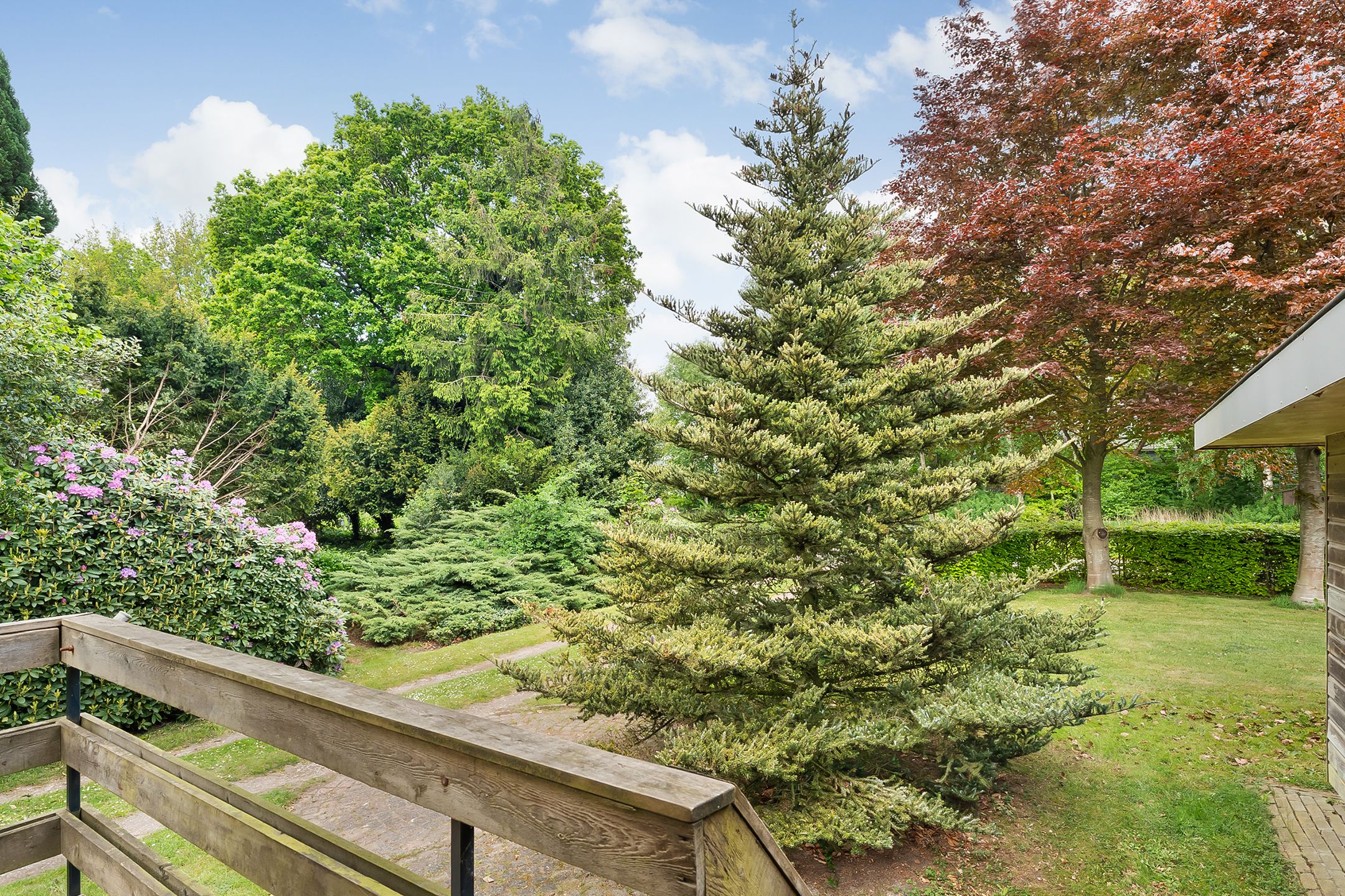 Foto 81 van Oosterwijk WZ 38