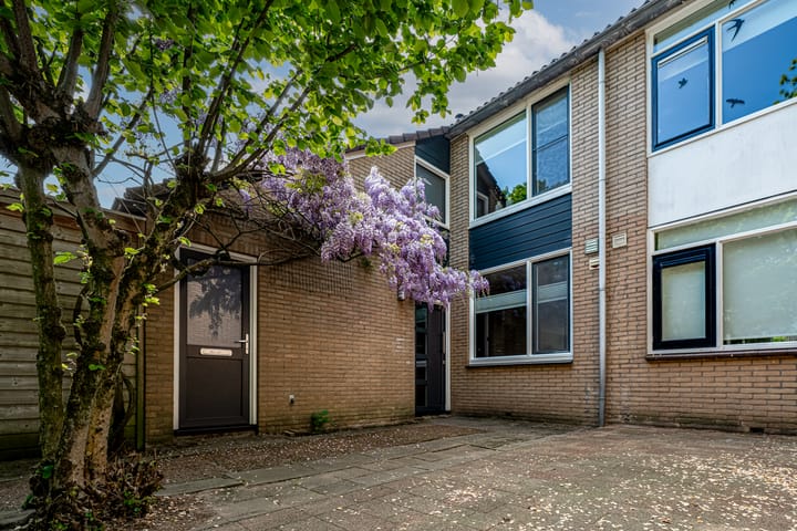 Foto 5 van Woerdenpad 4