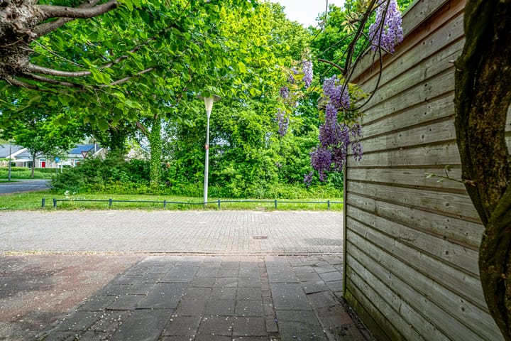 Foto 7 van Woerdenpad 4