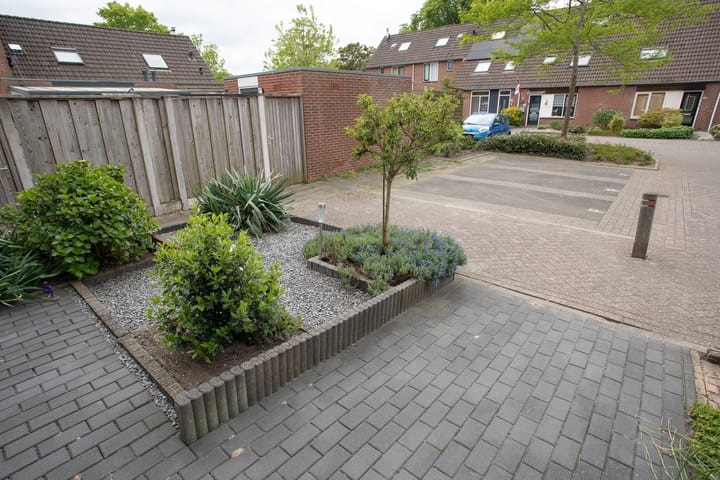 Foto 6 van De Fuut 12