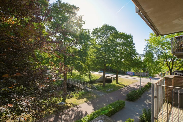 Foto 3 van Tielstraat 103