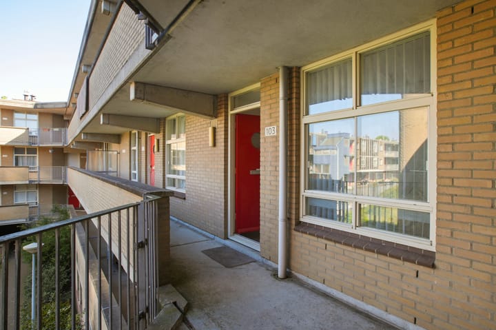 Foto 25 van Tielstraat 103