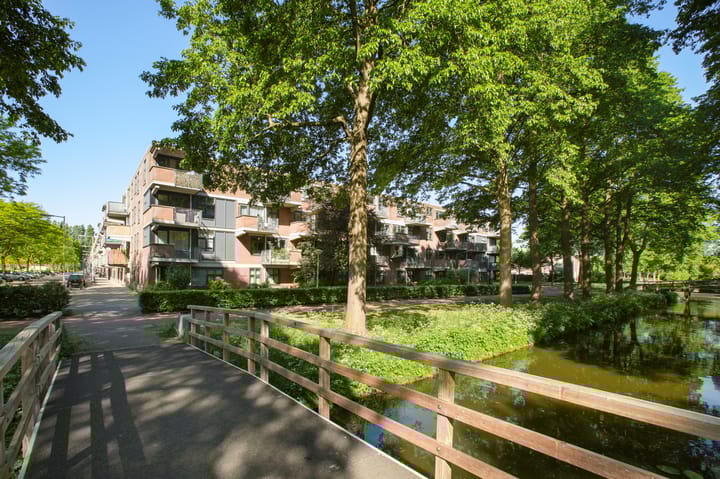 Foto 30 van Tielstraat 103