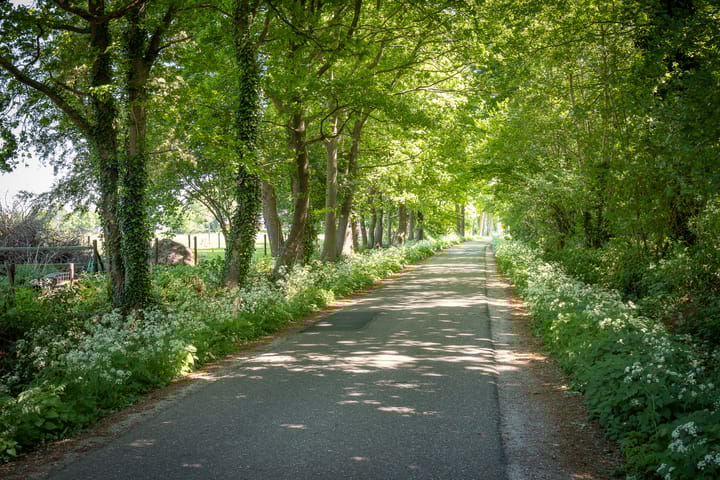 Foto 2 van Kamersteeg 10-A