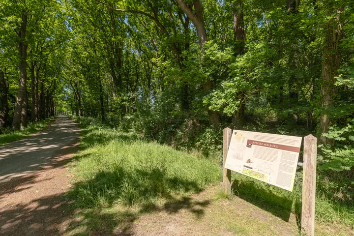 Foto 3 van Kamersteeg 10-A