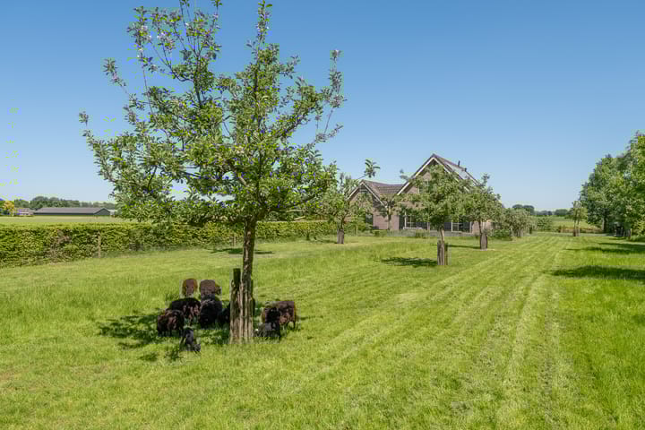 Foto 52 van Kamersteeg 10-A