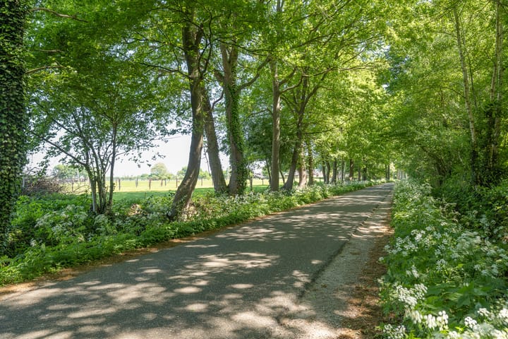 Foto 59 van Kamersteeg 10-A