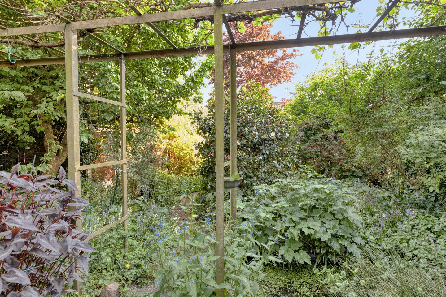 Foto 40 van Zoeterwoudsesingel 25