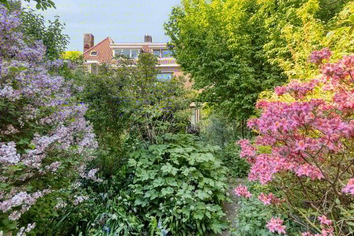 Foto 43 van Zoeterwoudsesingel 25