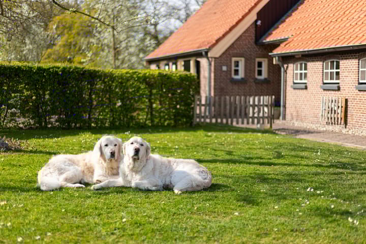 Foto 99 van Oelerschoolpad 2