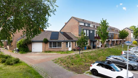 Punter 15 18 secondary image