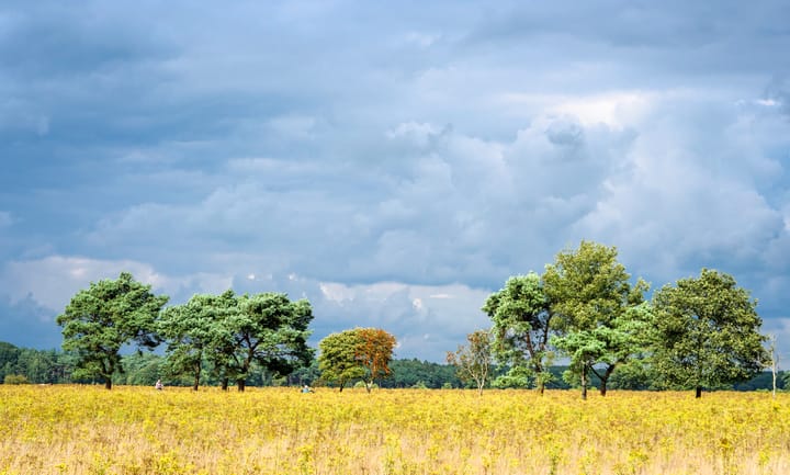 Photo 12 of Oldendiever 6