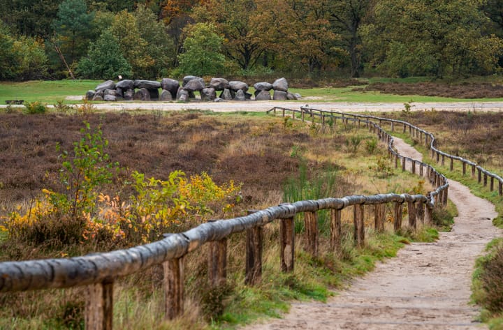 Photo 13 of Oldendiever 6