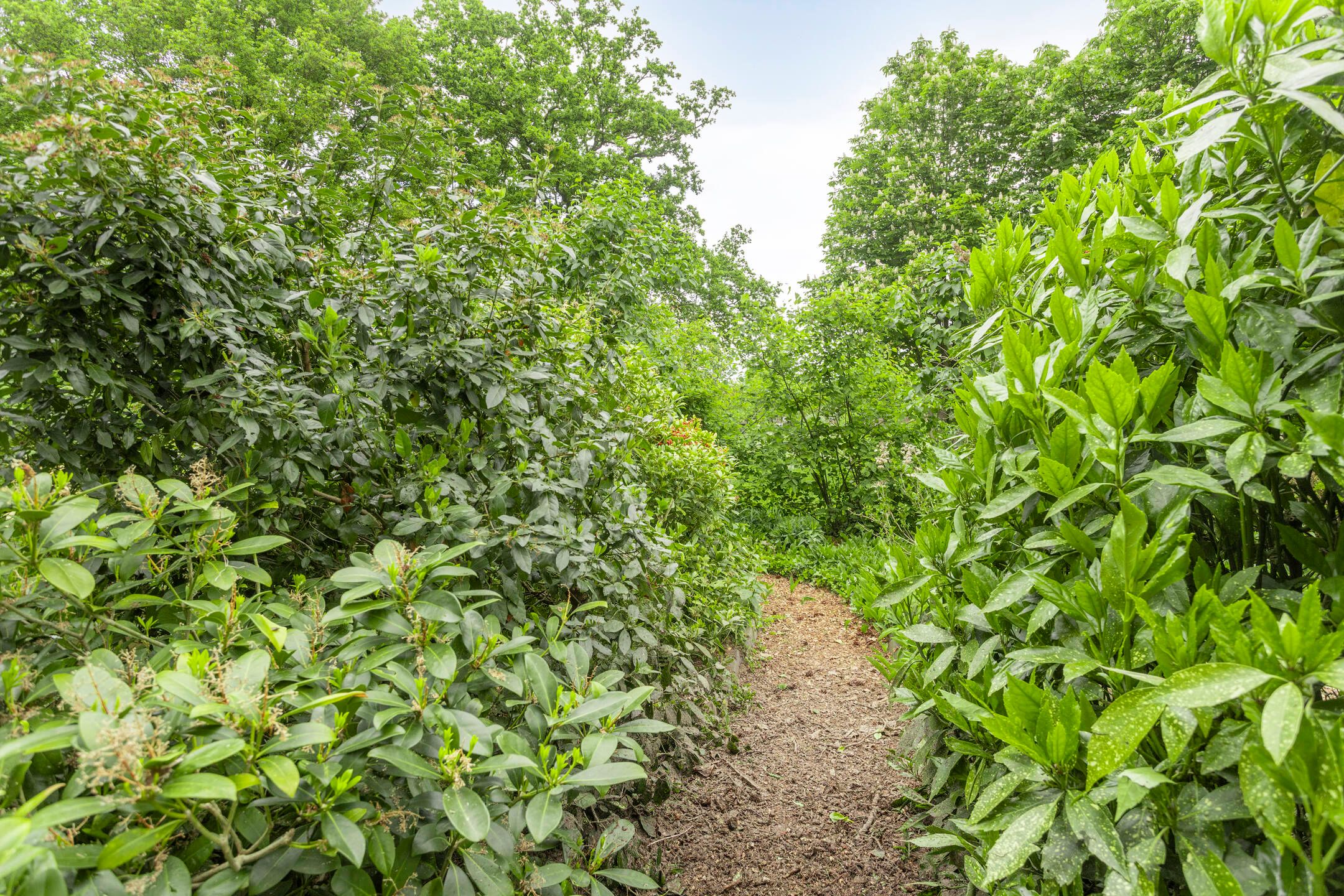 Foto 42 van Winterswijkseweg 1