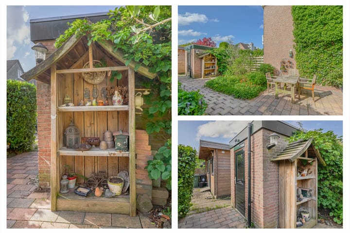 Foto 36 van Struikheide 36