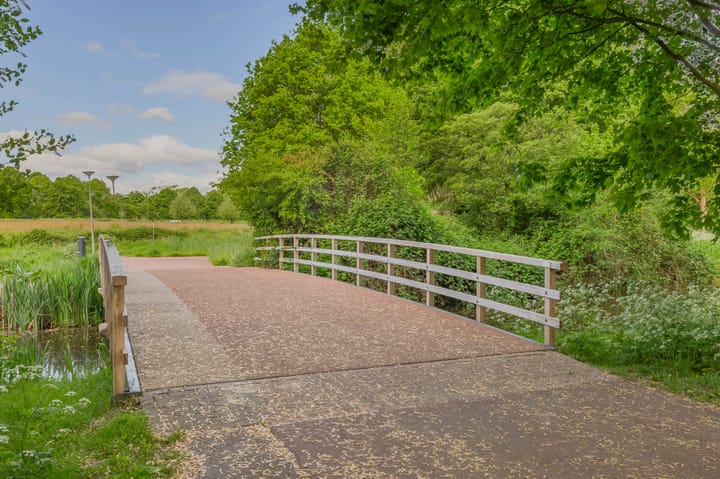 Foto 48 van Struikheide 36