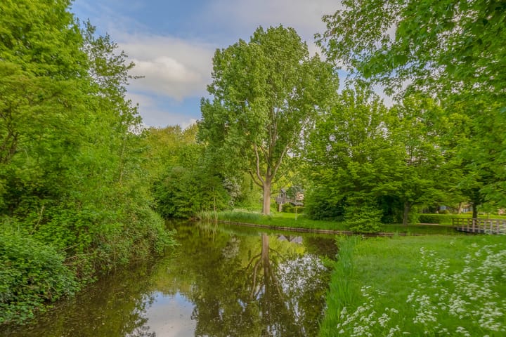 Foto 49 van Struikheide 36