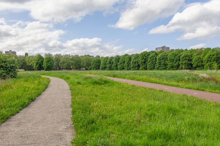 Foto 51 van Struikheide 36