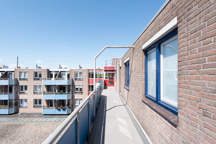 Foto 8 van Korenbloem 74