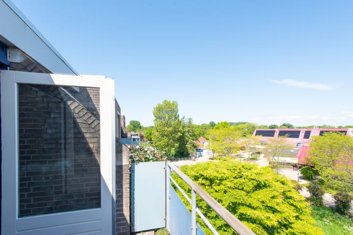 Foto 10 van Korenbloem 74