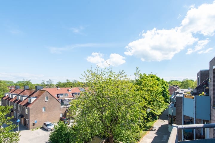 Foto 11 van Korenbloem 74