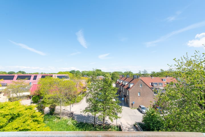 Foto 12 van Korenbloem 74