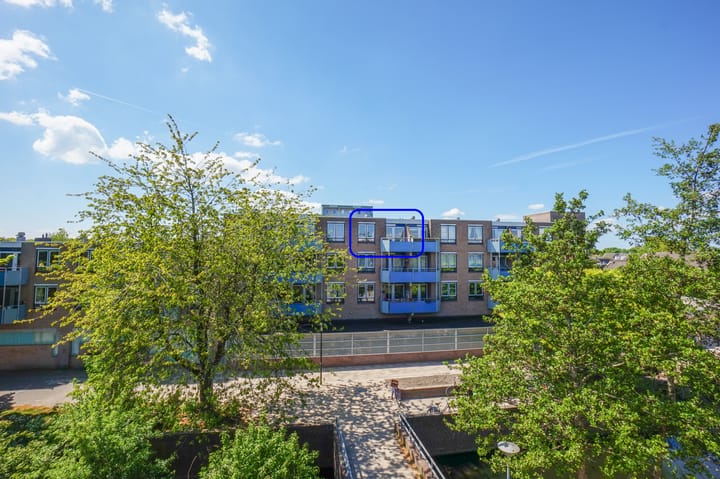 Foto 26 van Korenbloem 74