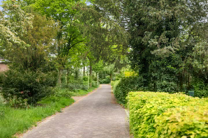 Foto 44 van Borgelerhofweg 3