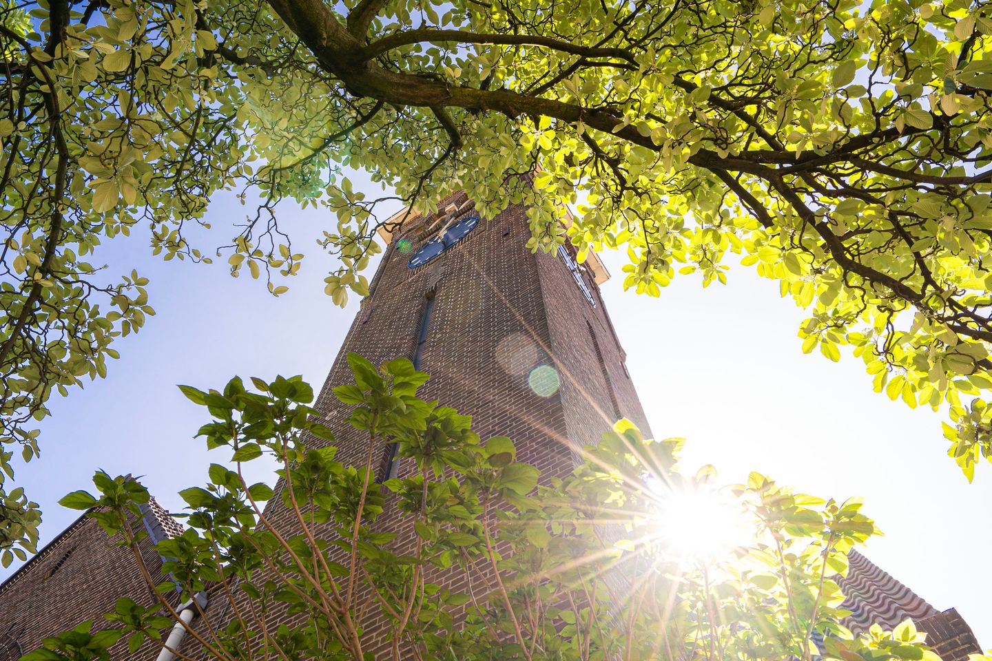 Foto 4 van Alcorstraat 12