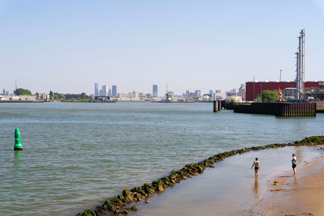 Foto 43 van Alcorstraat 12