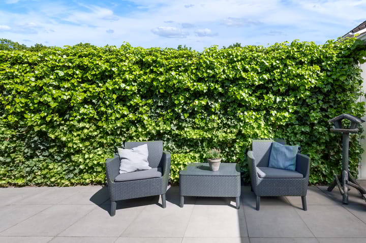 Foto 34 van Gezina van der Molenstr 3