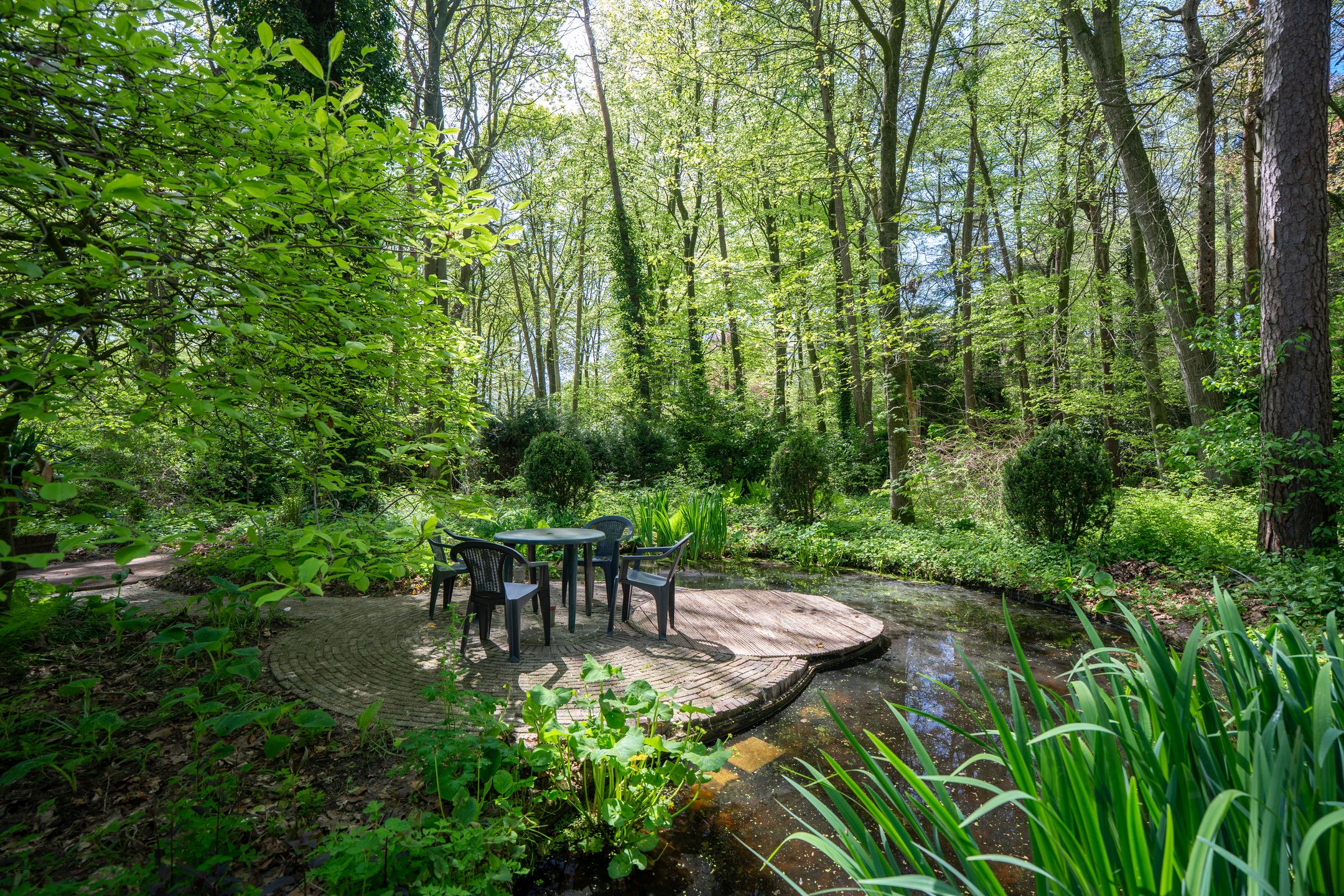 Photo 39 of Achterste Molenweg 12