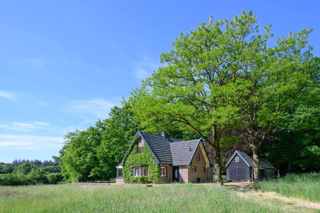 Photo 1 of Dalenk 26