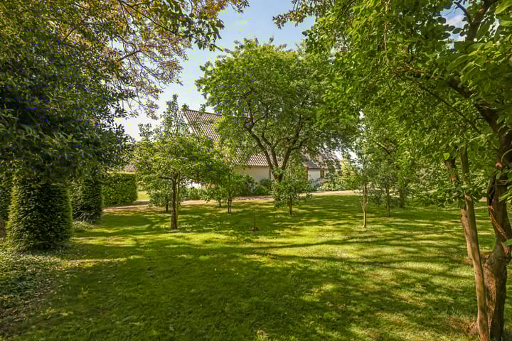 Photo 79 of Polderstraat 6