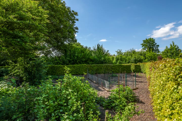 Photo 81 of Polderstraat 6