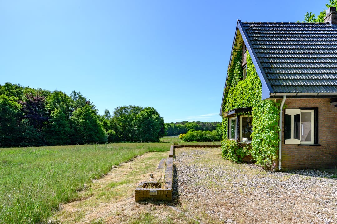 Photo 23 of Dalenk 26