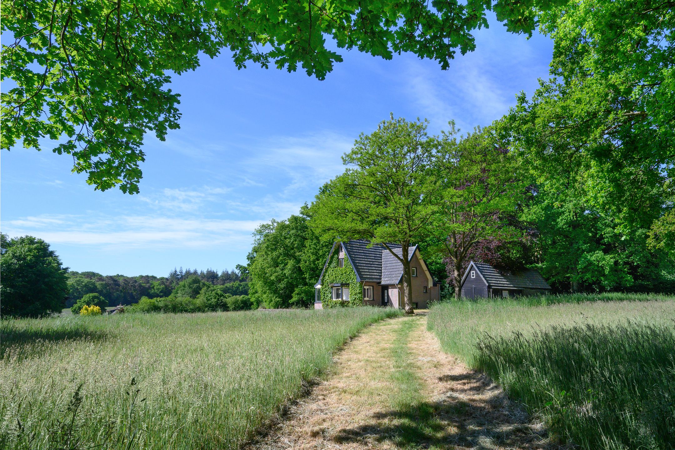 Photo 33 of Dalenk 26