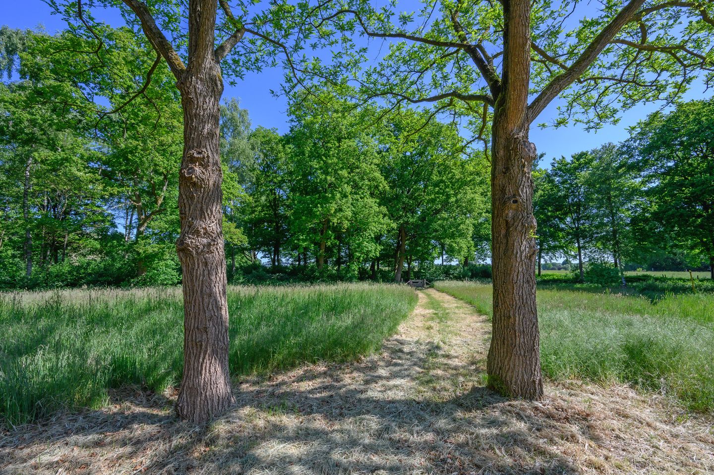 Photo 34 of Dalenk 26