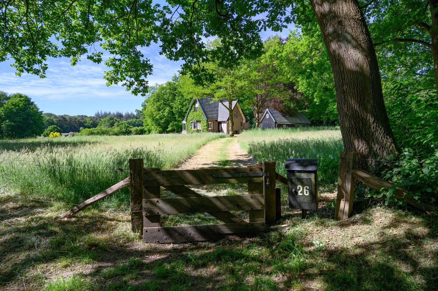 Photo 35 of Dalenk 26